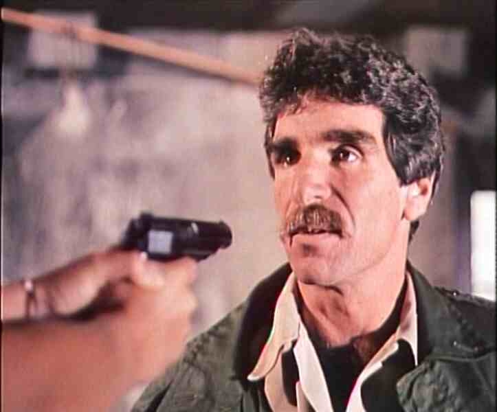 SS Operation Wolf Cub (1983) starring Harry Reems on DVD DVD SS Operation Wolf Cub (1983) Screenshot 2