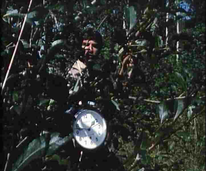 SS Operation Wolf Cub (1983) starring Harry Reems on DVD DVD SS Operation Wolf Cub (1983) Screenshot 5