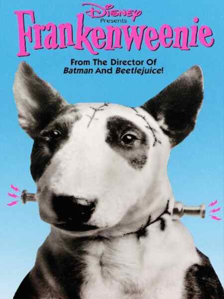 Frankenweenie (1984) Screenshot 1