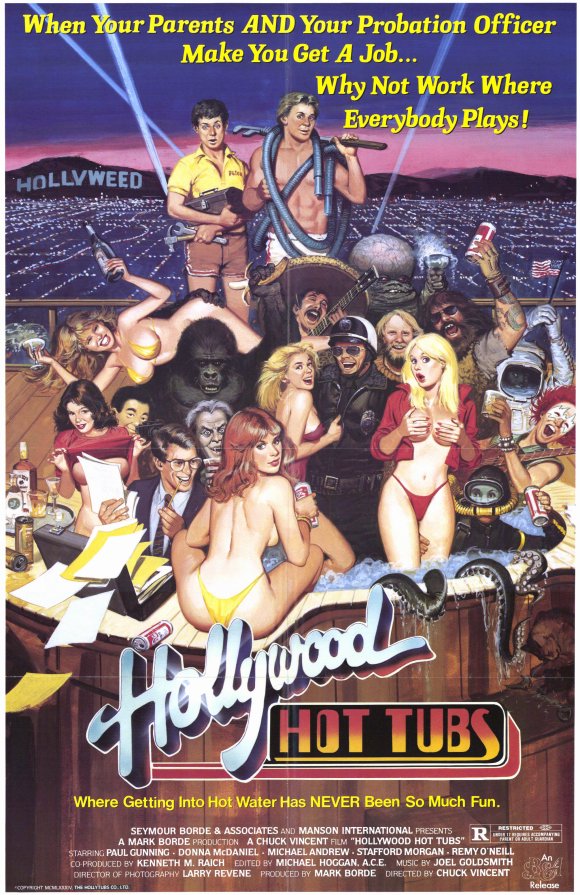 Hollywood Hot Tubs (1984) starring Paul Gunning on DVD on DVD