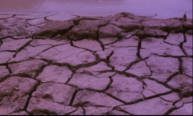 Farewell to the Ark (1984) Screenshot 2