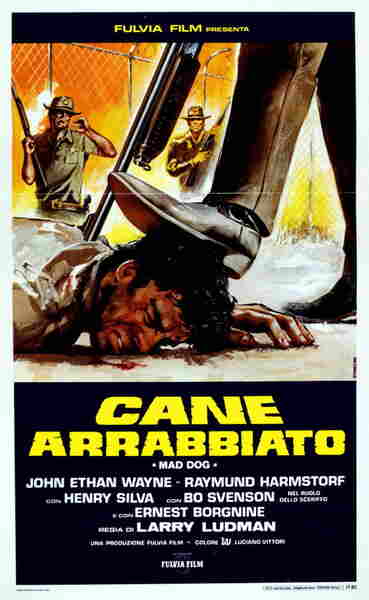 The Manhunt (1984) Screenshot 5