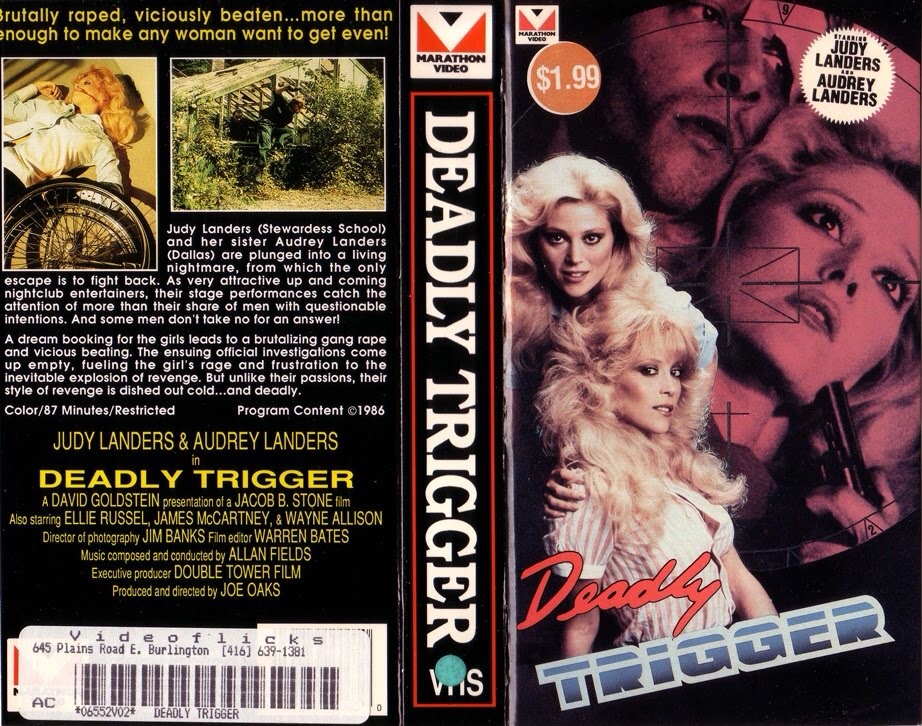 Deadly Twins (1985) Screenshot 2