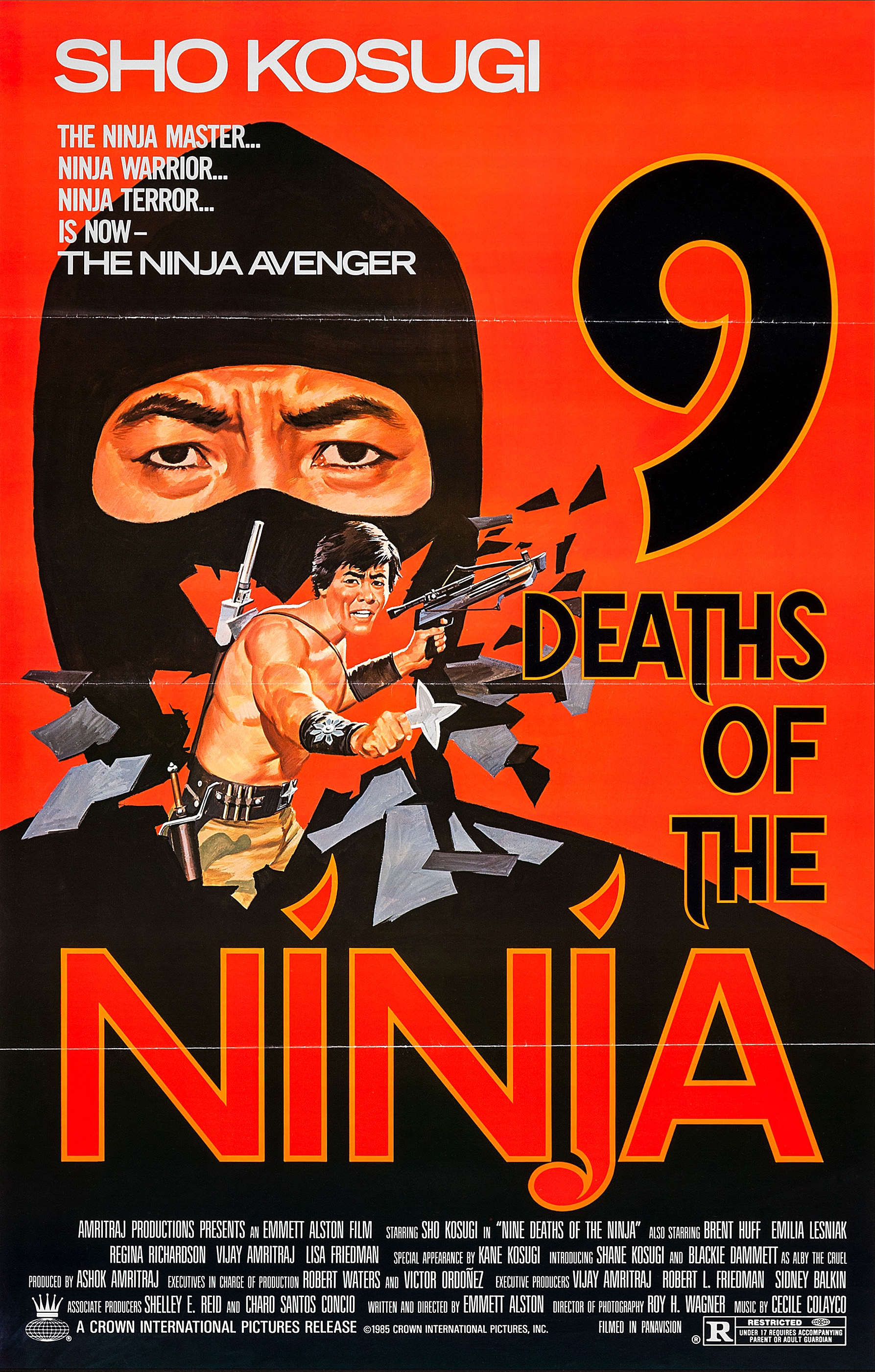 Nine Deaths of the Ninja (1985) starring Shô Kosugi on DVD on DVD