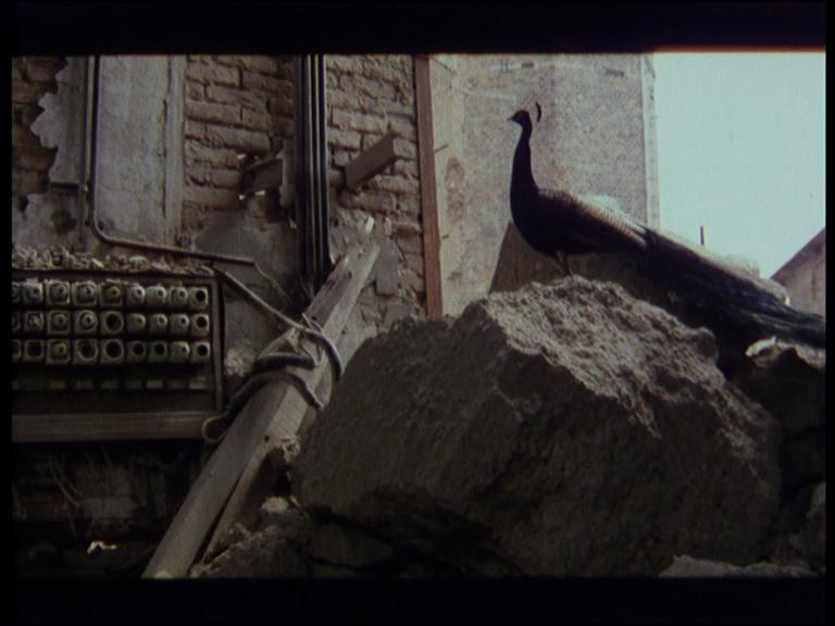 Schmutz (1987) Screenshot 4 