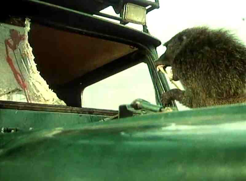 In the Shadow of Kilimanjaro (1985) Screenshot 4