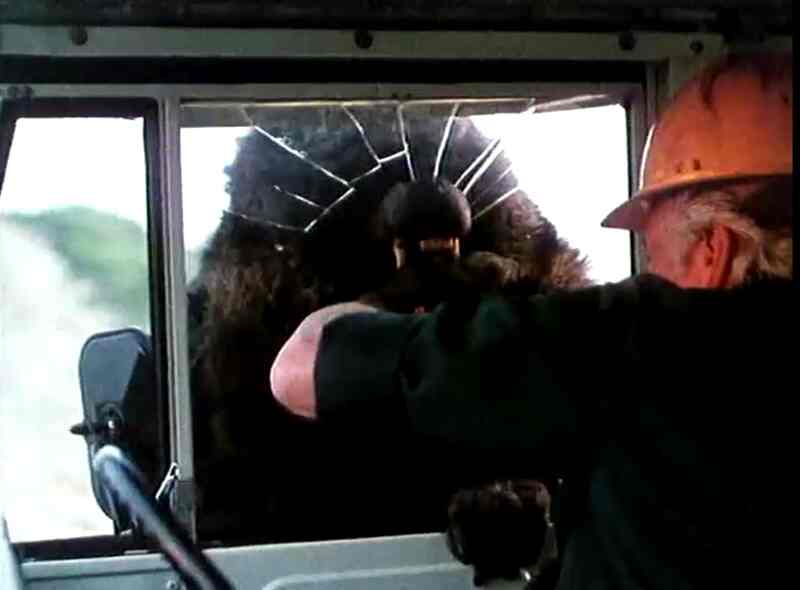 In the Shadow of Kilimanjaro (1985) Screenshot 5