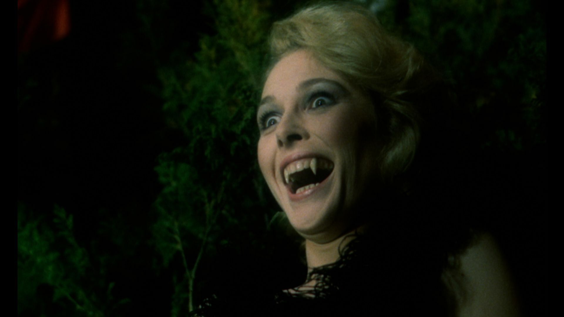 I Like Bats (1986) Screenshot 2