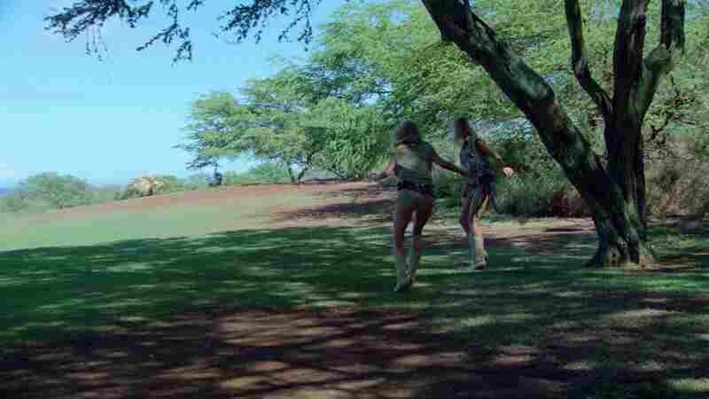 Hard Ticket to Hawaii (1987) Screenshot 4