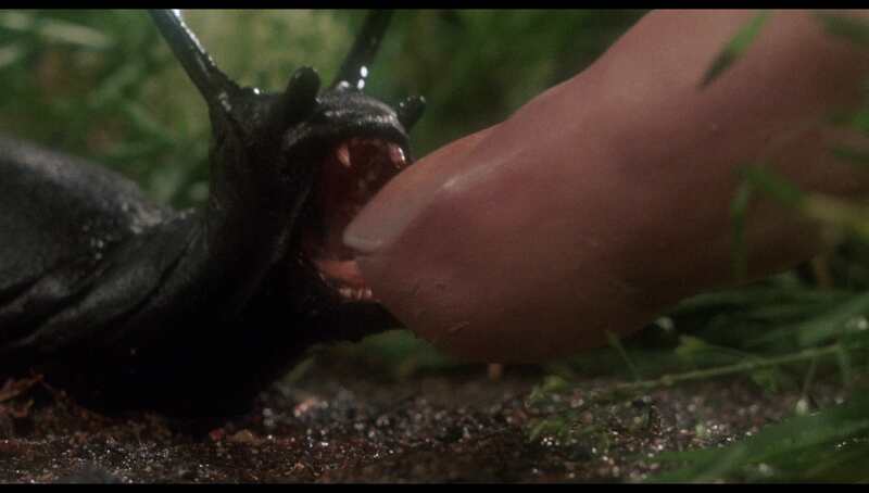 Slugs (1988) Screenshot 4