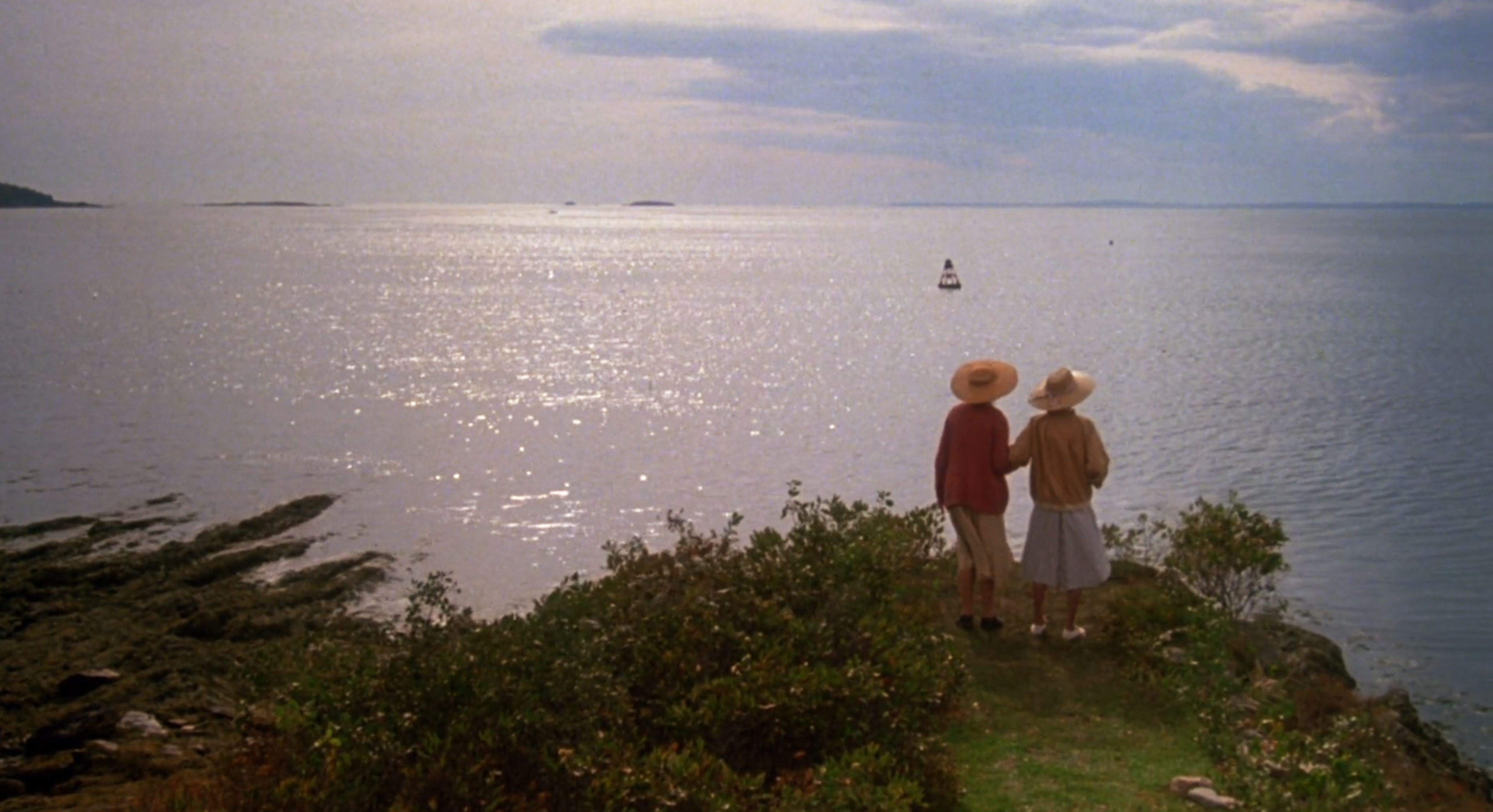 The Whales of August (1987) Screenshot 4 
