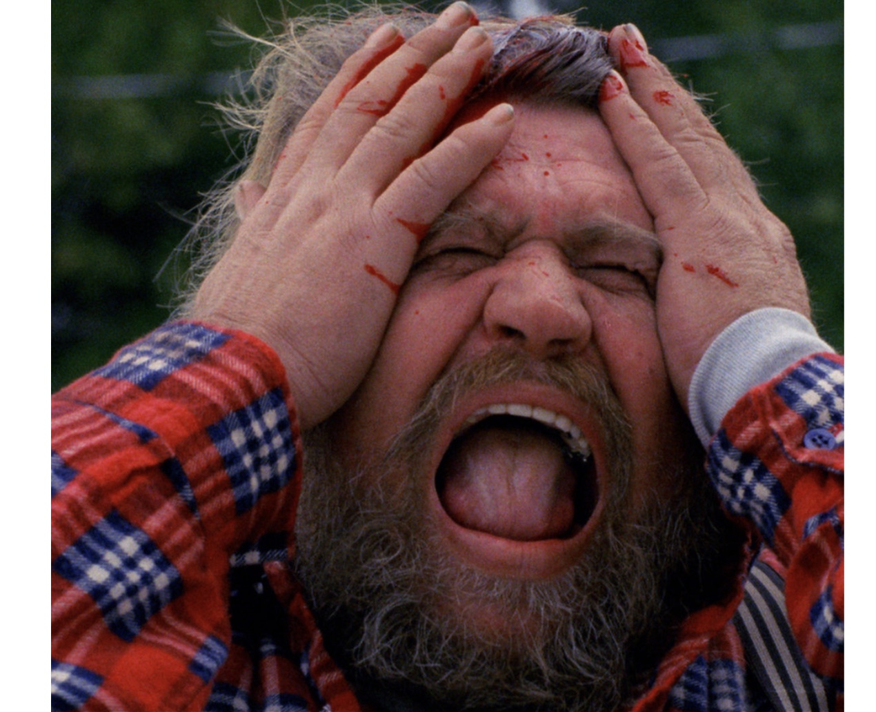 The American Scream (1988) Screenshot 3