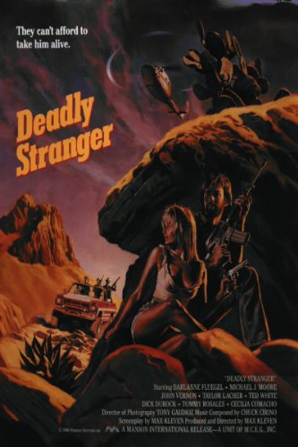 Deadly Stranger (1988) starring Darlanne Fluegel on DVD on DVD