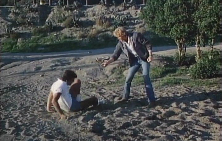 Hollywood Cop (1987) Screenshot 2 