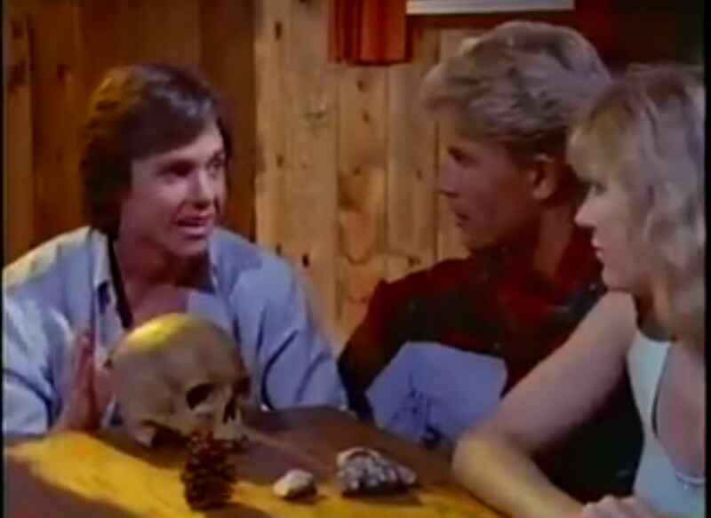 Hollywood's New Blood (1988) starring Bobby Johnston on DVD DVD Hollywood's New Blood (1988) Screenshot 2