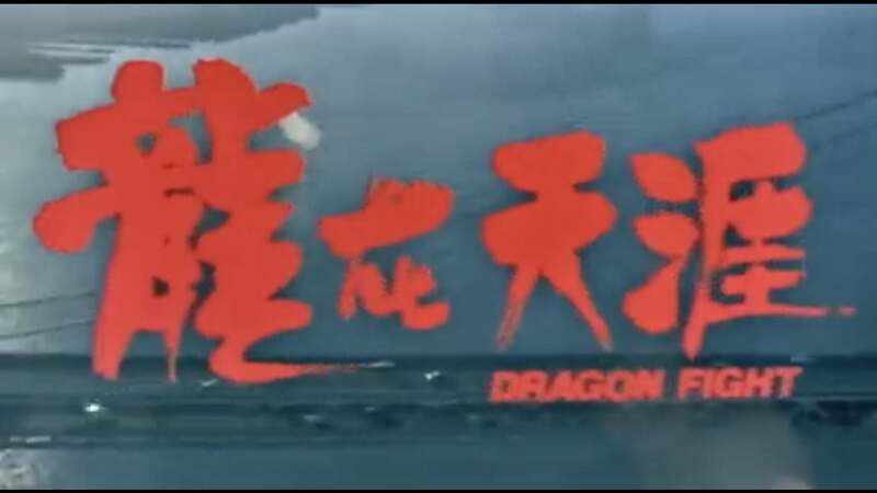 Dragon Fight (1989) Screenshot 2