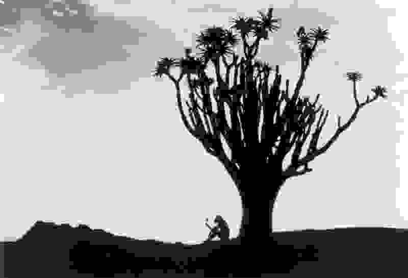 Missing Link (1988) Screenshot 1