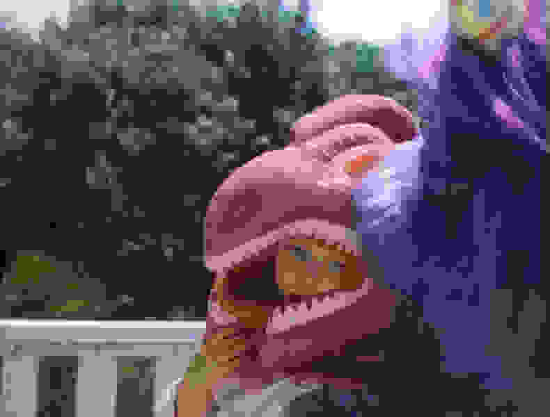 Purple People Eater (1988) Screenshot 4