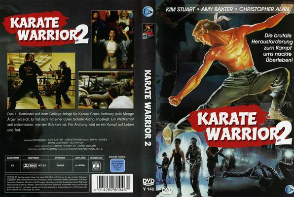 Karate Warrior 2 (1988) Screenshot 4 