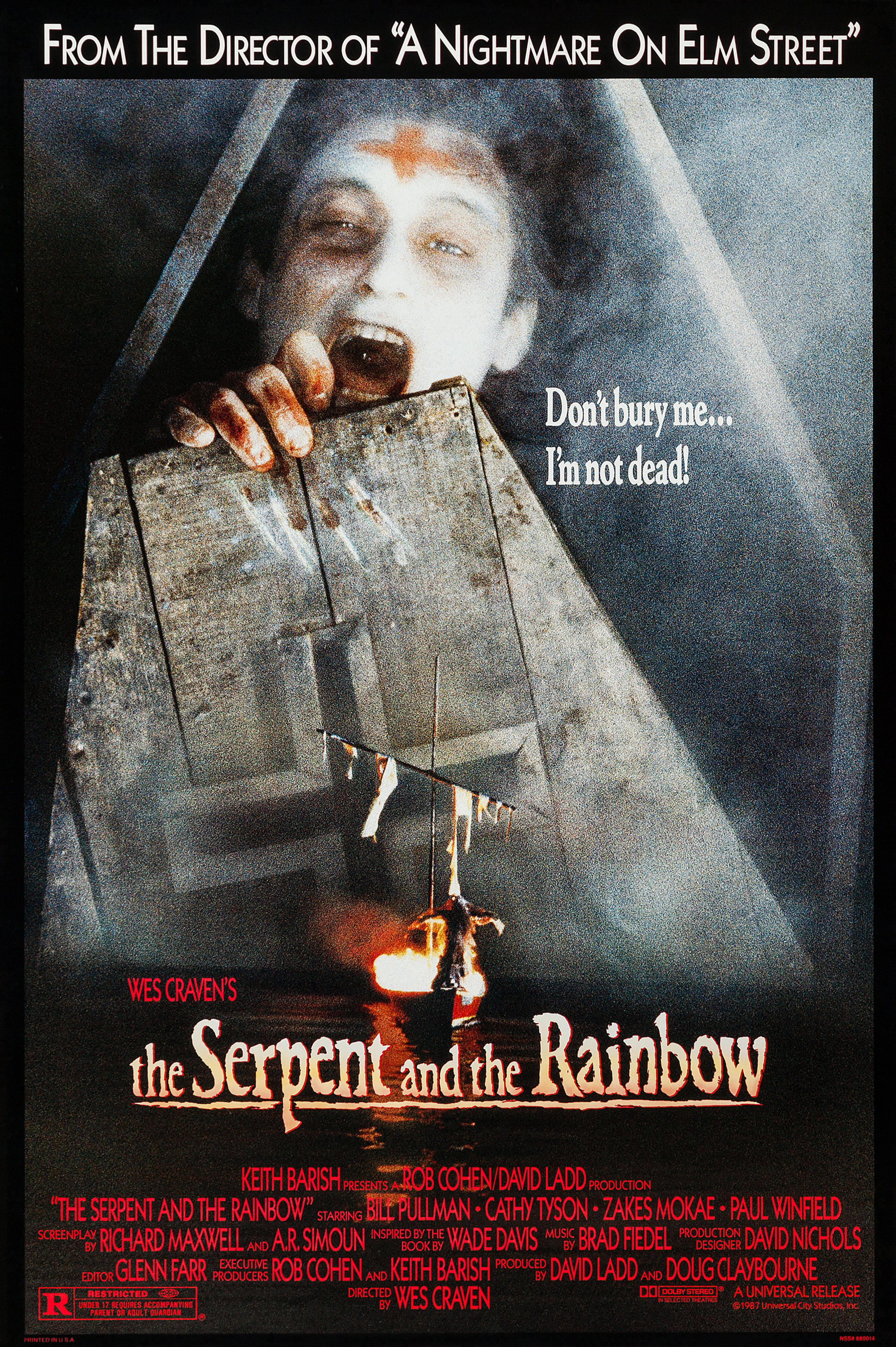 The Serpent and the Rainbow (1988) starring Bill Pullman on DVD on DVD
