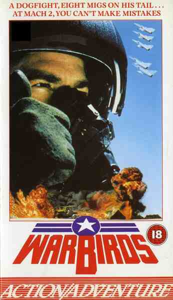 Warbirds (1989) Screenshot 1