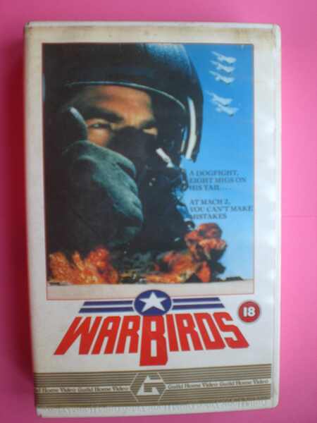 Warbirds (1989) Screenshot 4