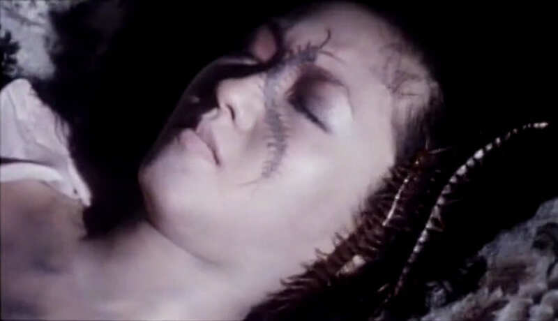 Centipede Horror (1982) Screenshot 4