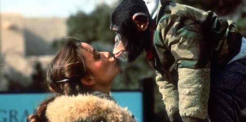 Animal Behavior (1989) Screenshot 4
