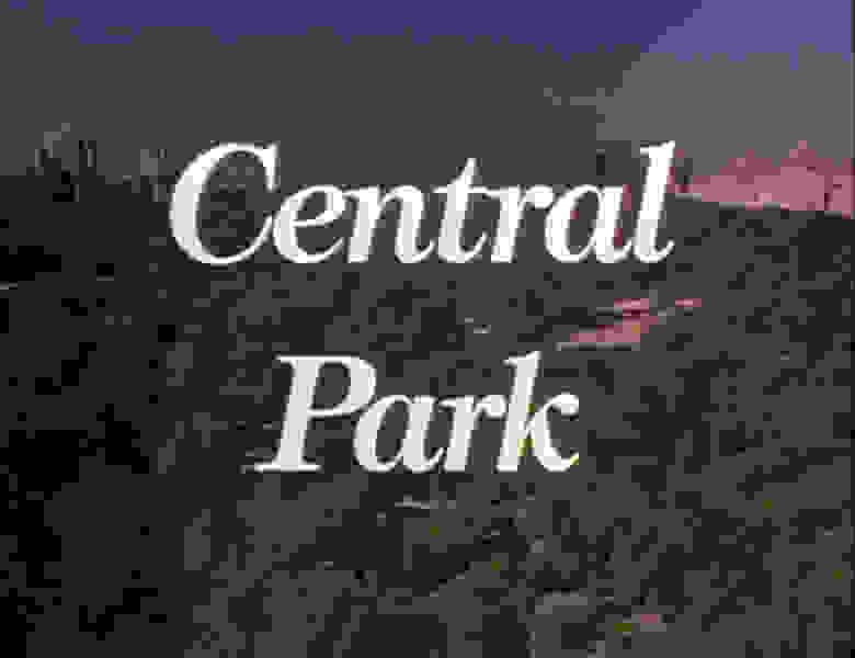 Central Park (1989) Screenshot 1