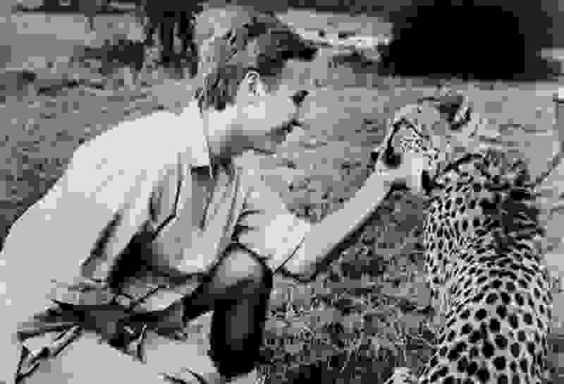 Cheetah (1989) Screenshot 1