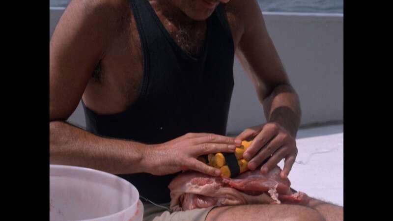 Deep Blood (1989) Screenshot 4