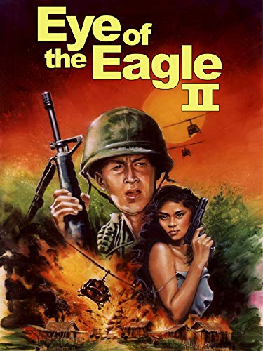 Eye of the Eagle 2: Inside the Enemy (1989) Screenshot 1