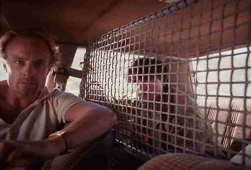 Far from Home (1989) Screenshot 3