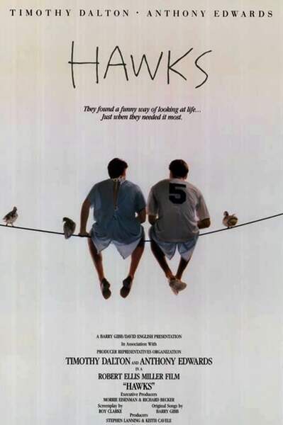 Hawks (1988) starring Timothy Dalton on DVD on DVD
