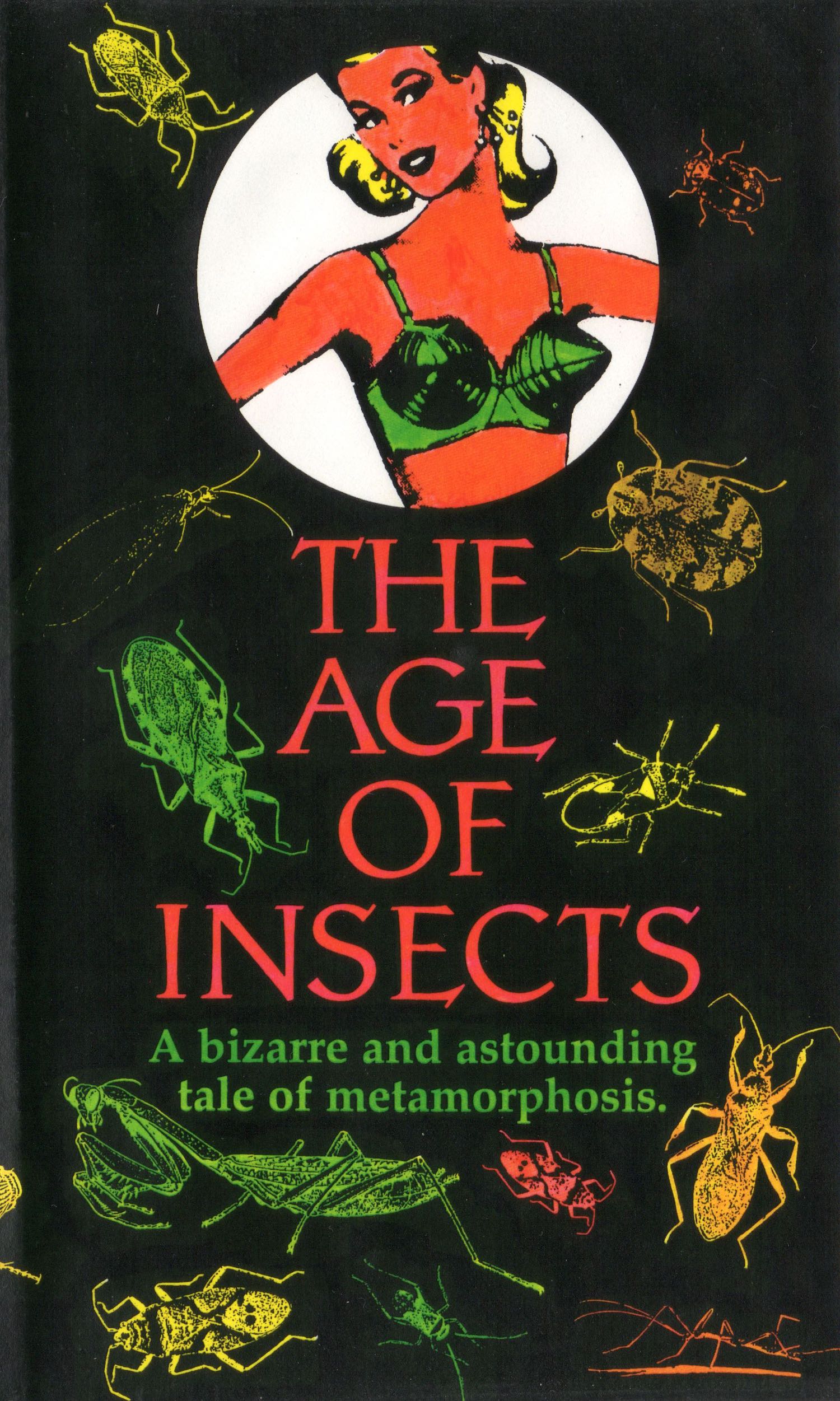 The Age of Insects (1990) Screenshot 5 