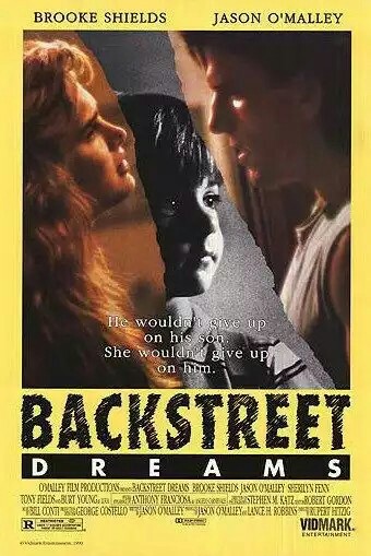Backstreet Dreams (1990) starring Brooke Shields on DVD on DVD