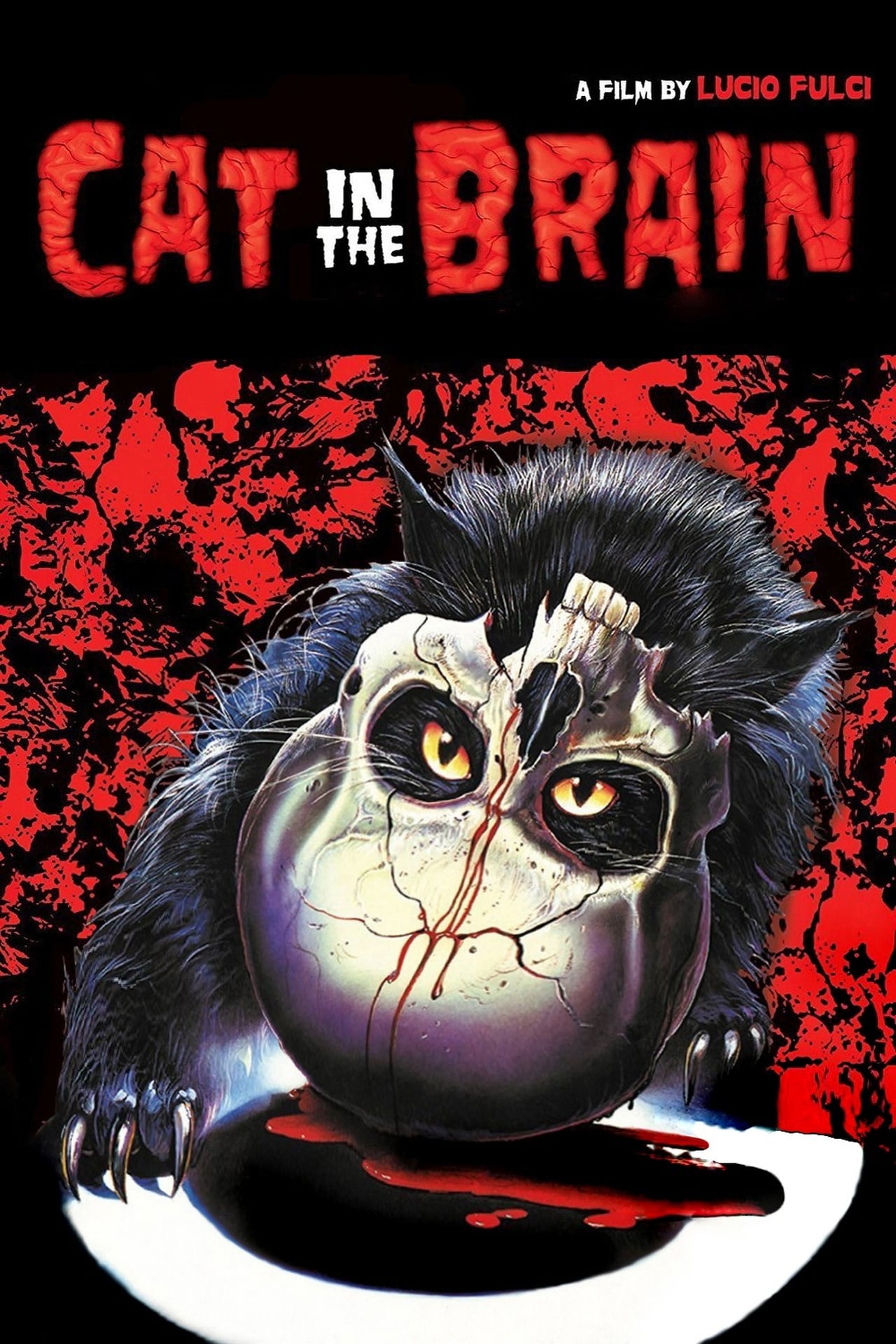 A Cat in the Brain (1990) Screenshot 1