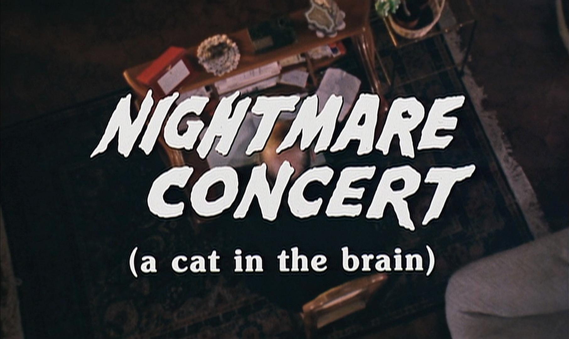 A Cat in the Brain (1990) Screenshot 5