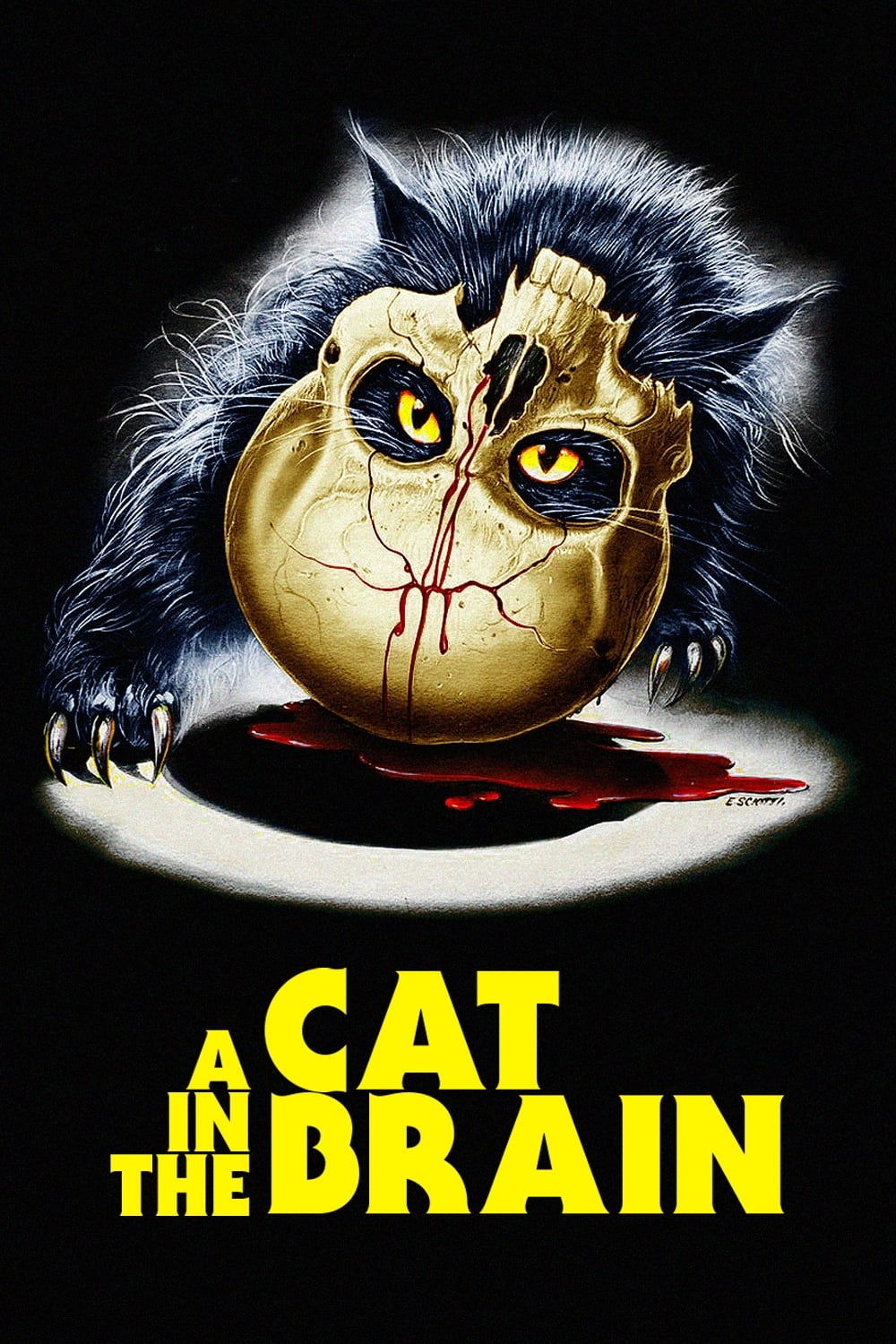 A Cat in the Brain (1990) with English Subtitles on DVD on DVD