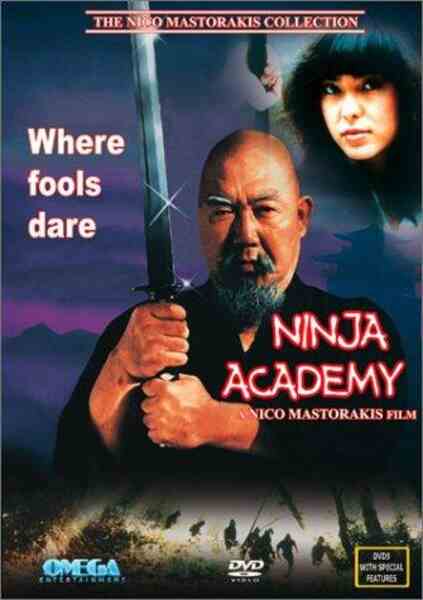 Ninja Academy (1989) Screenshot 2