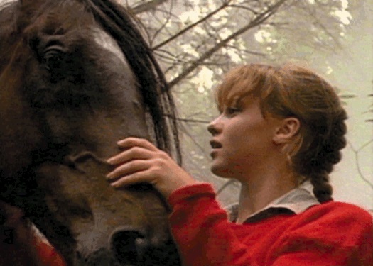 The Rogue Stallion (1990) Screenshot 1 