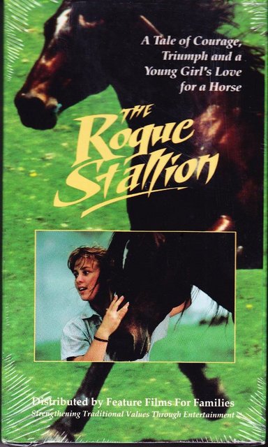The Rogue Stallion (1990) Screenshot 3 