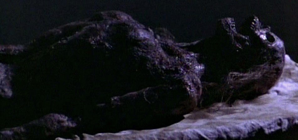 Xtro II: The Second Encounter (1991) Screenshot 3