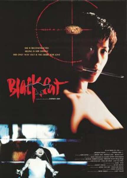 Black Cat (1991) Screenshot 1