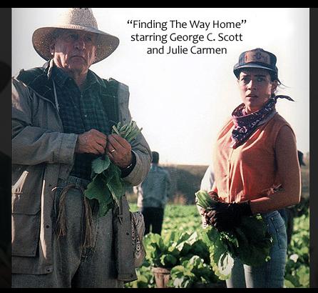 Finding the Way Home (1991) Screenshot 1