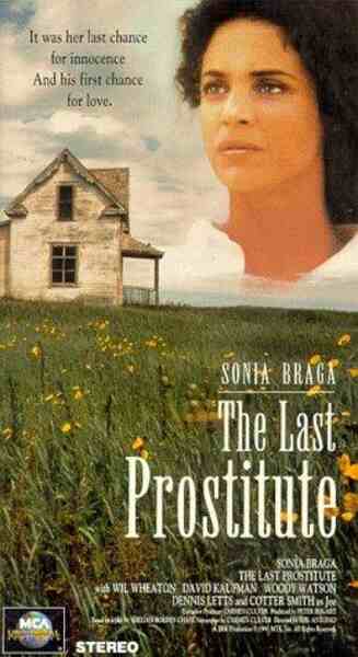 The Last Prostitute (1991) starring Sônia Braga on DVD on DVD