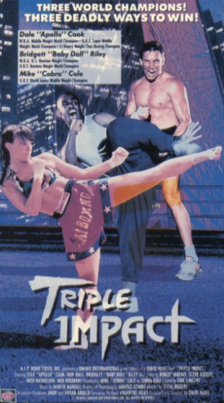 Triple Impact (1992) starring Dale Cook on DVD on DVD