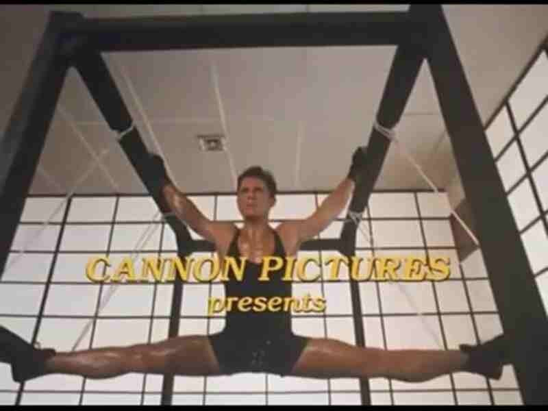 American Ninja 5 (1993) Screenshot 3