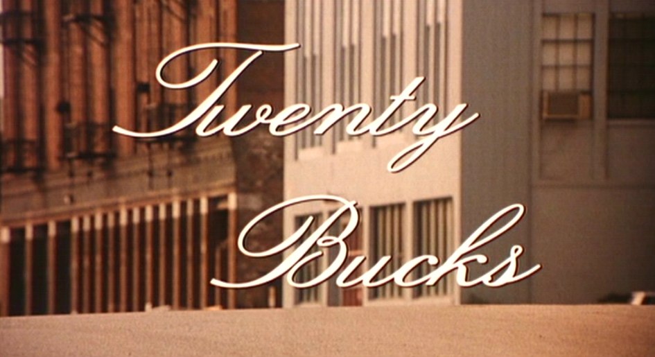 Twenty Bucks (1993) Screenshot 1 