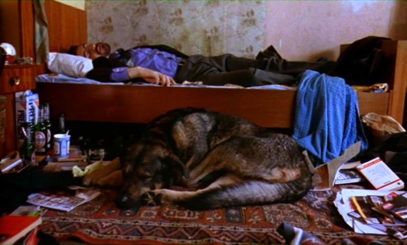 When Pigs Fly (1993) Screenshot 1